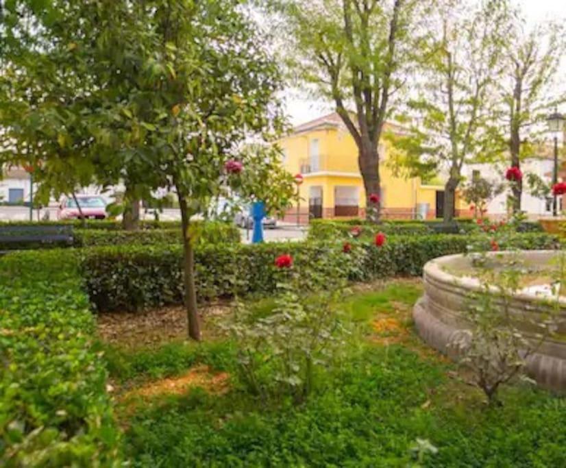 Вилла Casa Pablo -Granada- Экстерьер фото